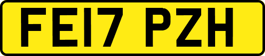 FE17PZH
