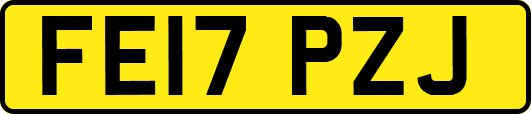 FE17PZJ