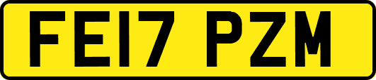 FE17PZM