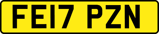 FE17PZN