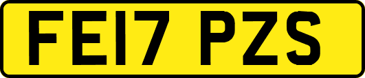 FE17PZS