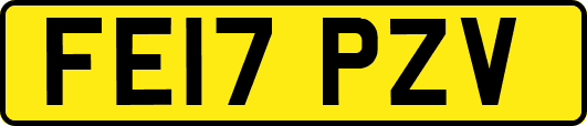 FE17PZV