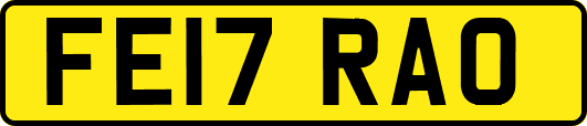 FE17RAO