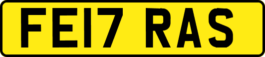 FE17RAS