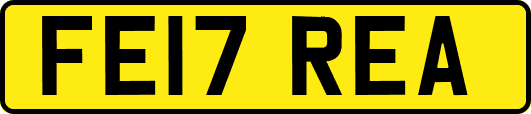 FE17REA