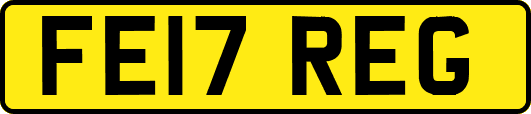 FE17REG
