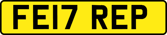 FE17REP