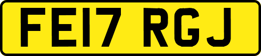 FE17RGJ