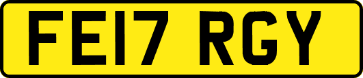 FE17RGY