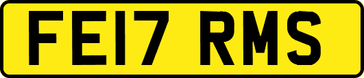FE17RMS
