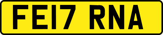 FE17RNA