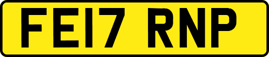FE17RNP