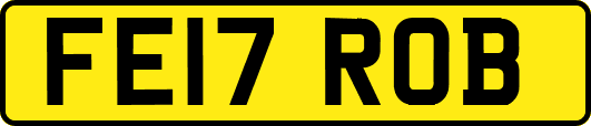 FE17ROB