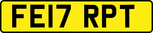 FE17RPT