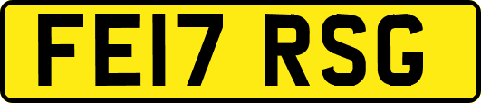 FE17RSG