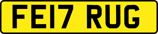 FE17RUG