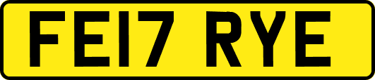 FE17RYE