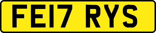 FE17RYS