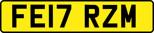 FE17RZM