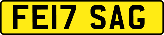 FE17SAG