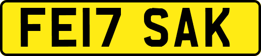 FE17SAK