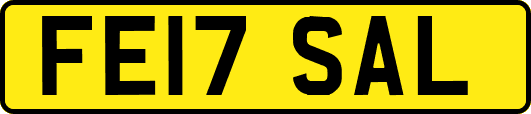 FE17SAL