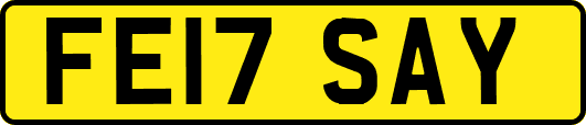 FE17SAY