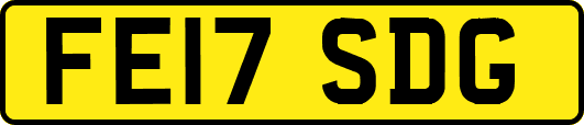 FE17SDG