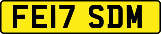 FE17SDM