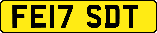 FE17SDT