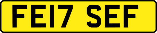 FE17SEF