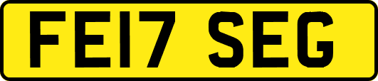 FE17SEG