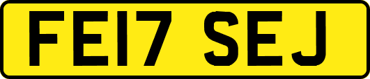 FE17SEJ