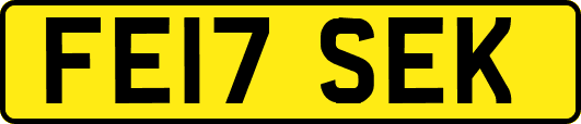 FE17SEK