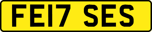 FE17SES