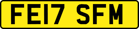 FE17SFM