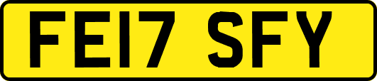 FE17SFY
