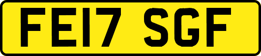 FE17SGF