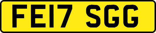 FE17SGG