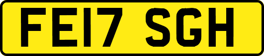 FE17SGH