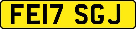 FE17SGJ