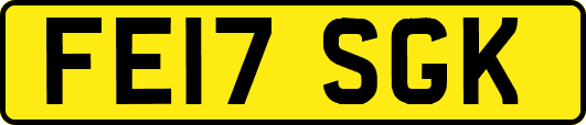 FE17SGK