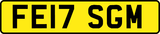 FE17SGM