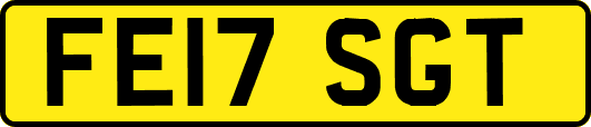 FE17SGT