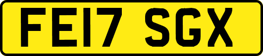 FE17SGX