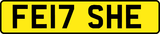 FE17SHE