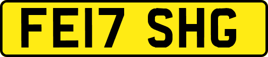 FE17SHG
