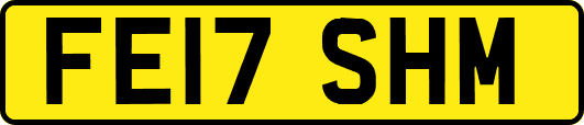 FE17SHM