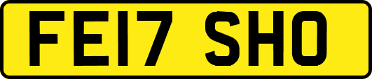 FE17SHO