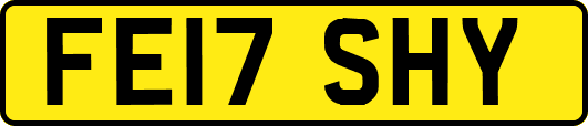 FE17SHY